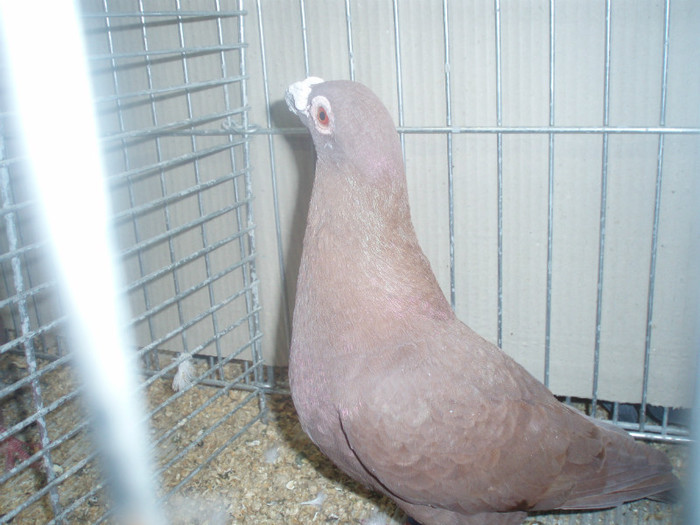 PC072276