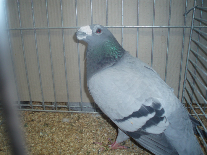 PC072280