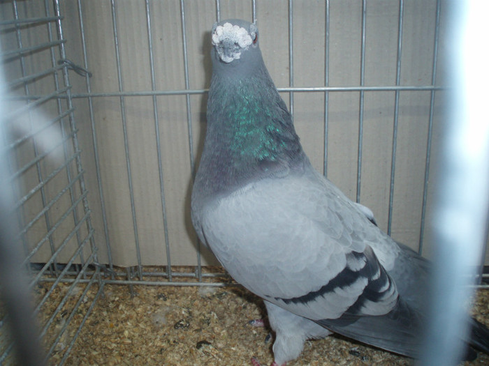 PC072281