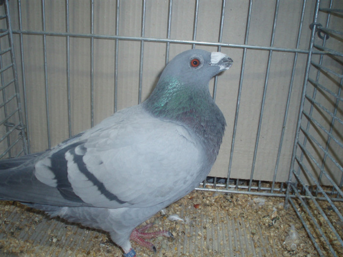 PC072282