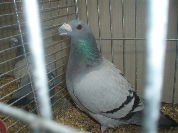 PC072283