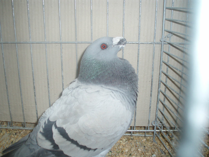 PC072287