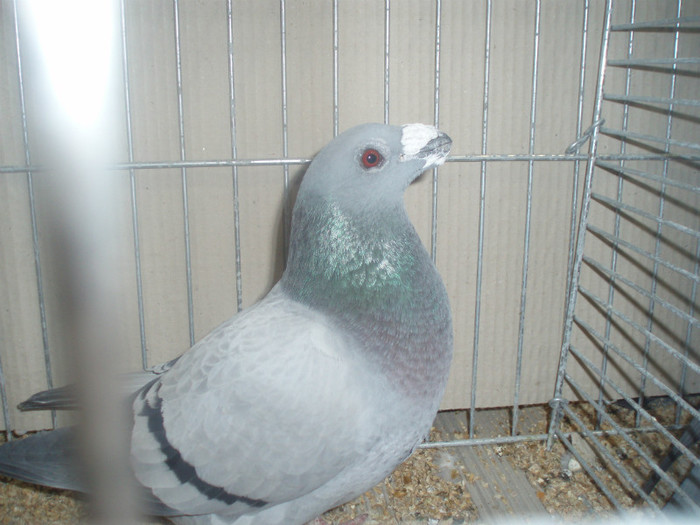 PC072289