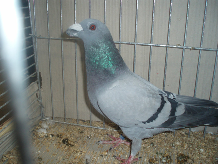 PC072291