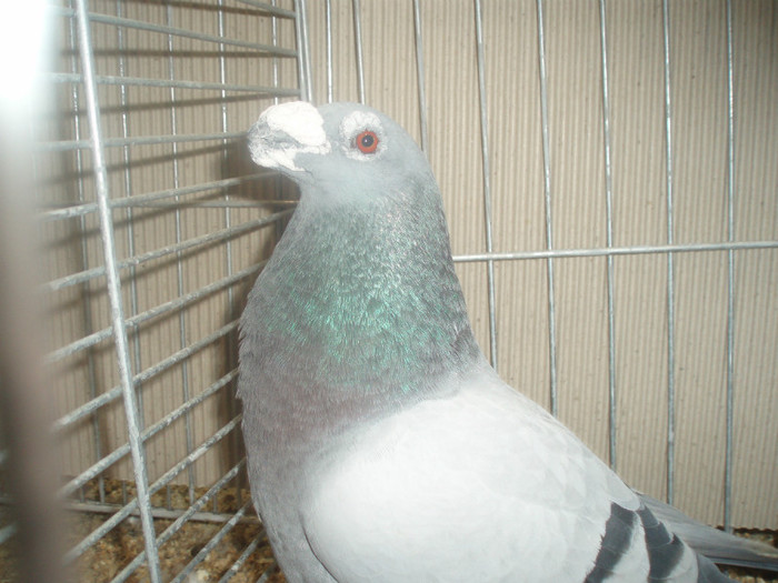 PC072292