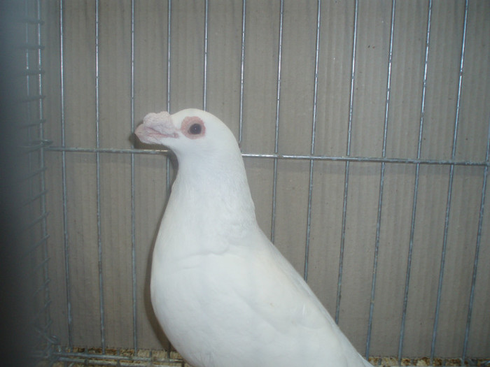 PC072298