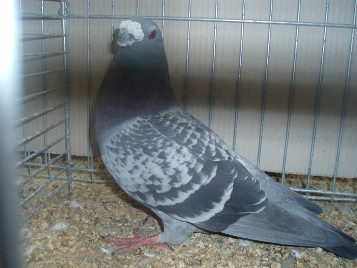 PC072300