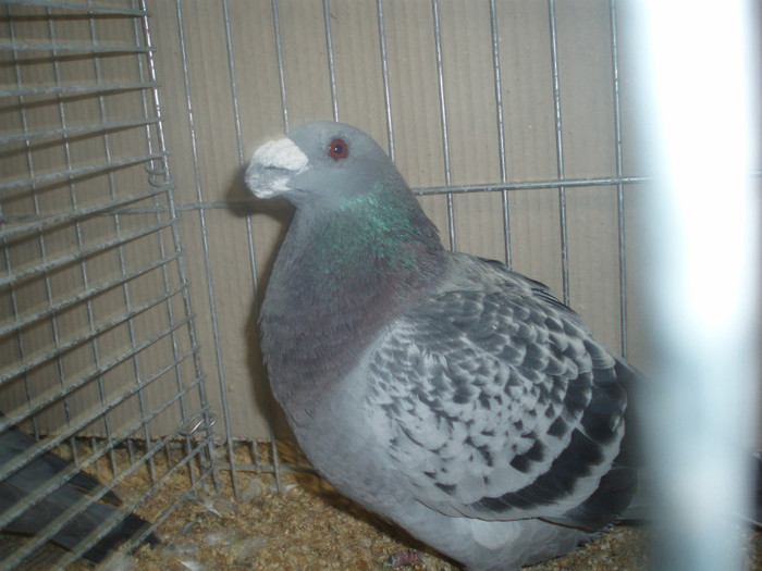 PC072304