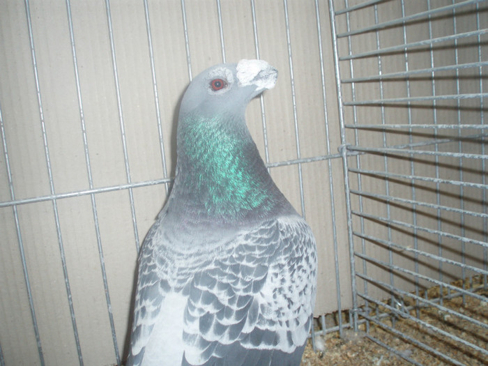 PC072305