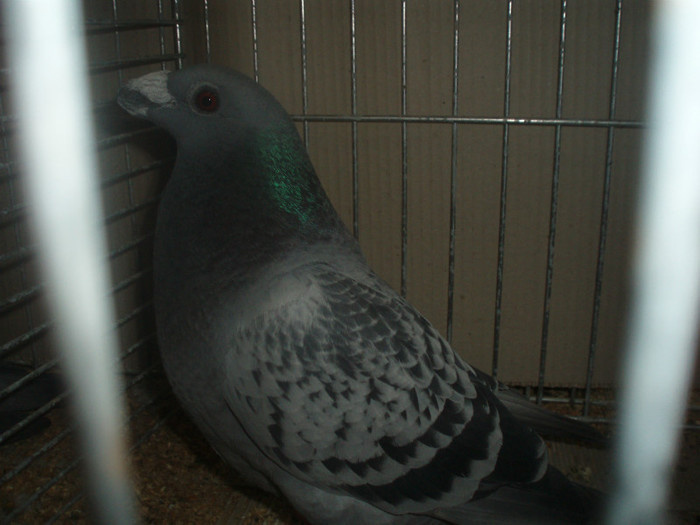 PC072307