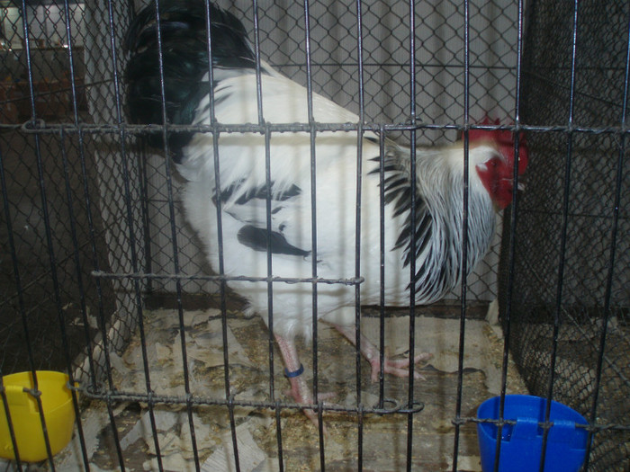 PC072314