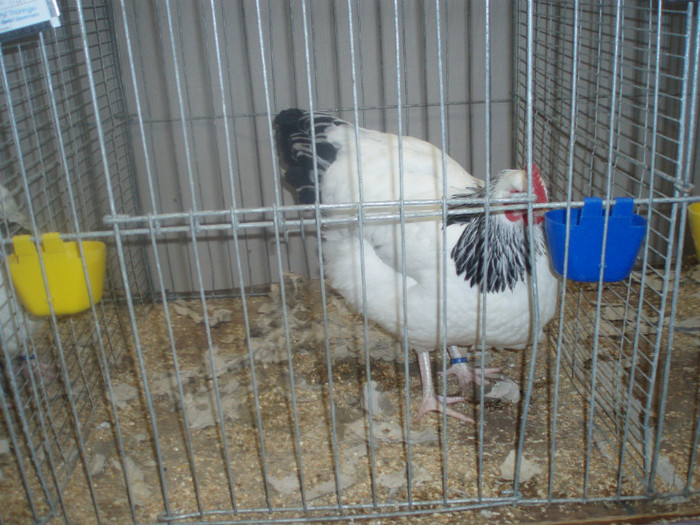 PC072328
