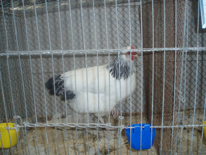 PC072329