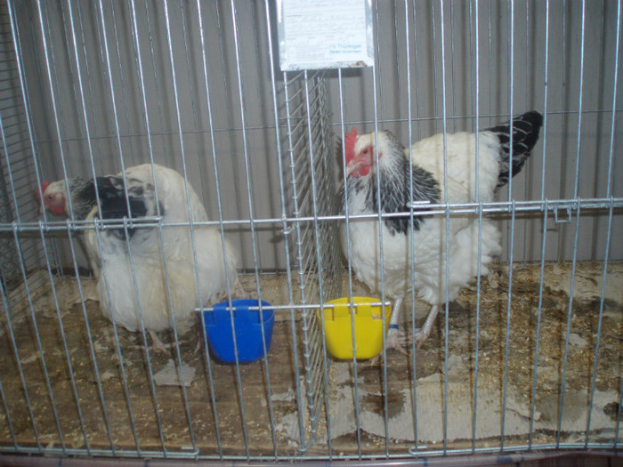 PC072330