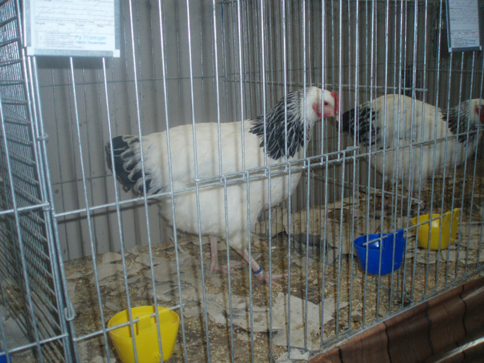 PC072332