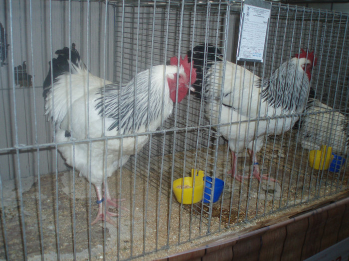 PC072334