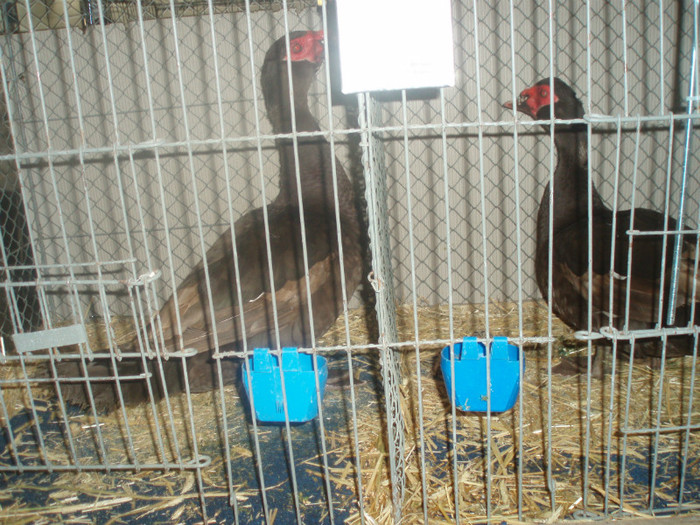 PC072340