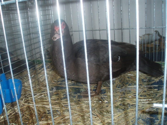 PC072341