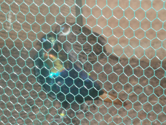 PC072348