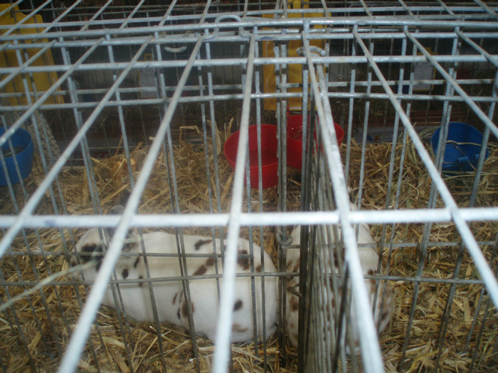 PC072352
