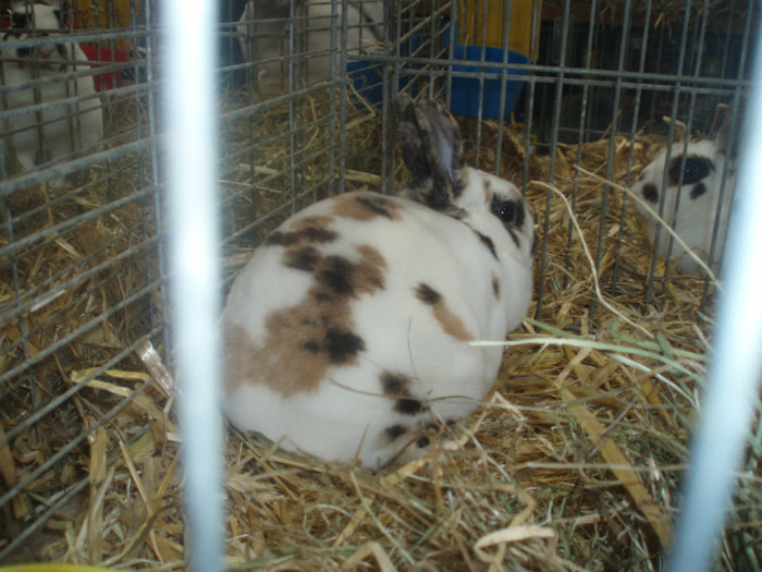 PC072353