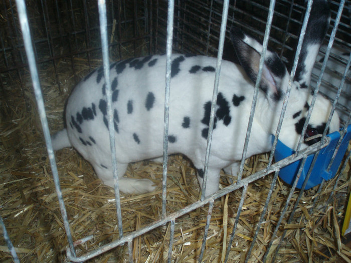 PC072368