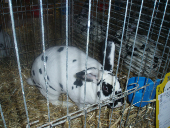 PC072372