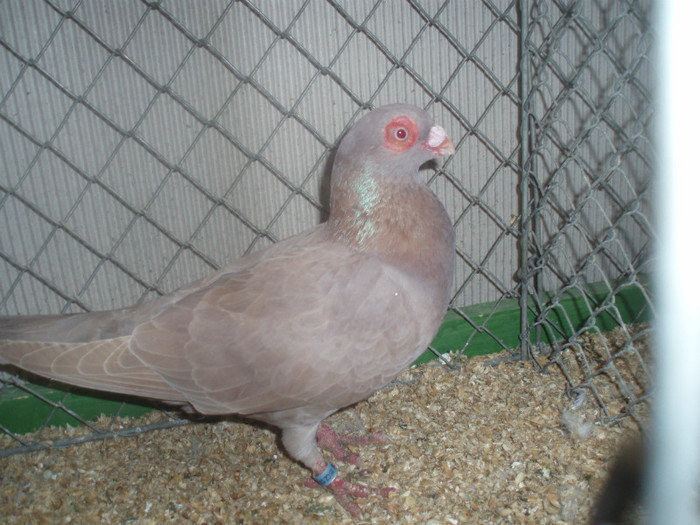 PC072389