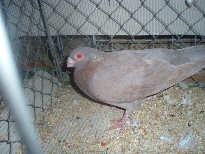 PC072391