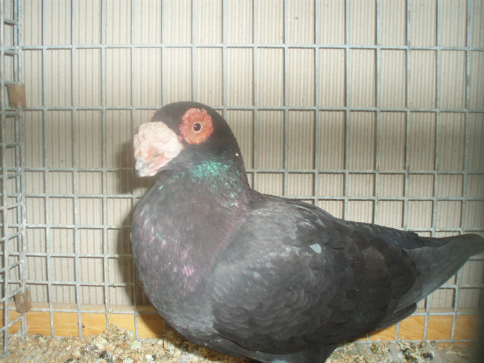 PC082400