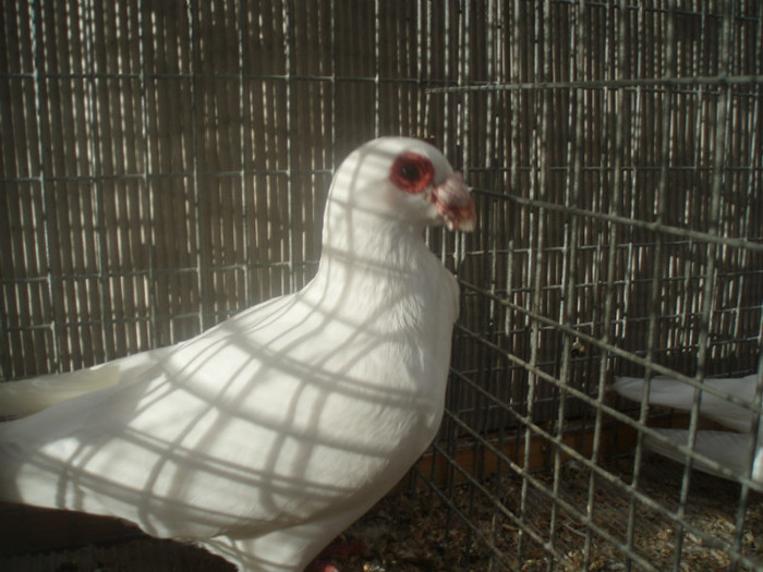 PC082404