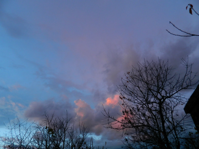 DSCN2842