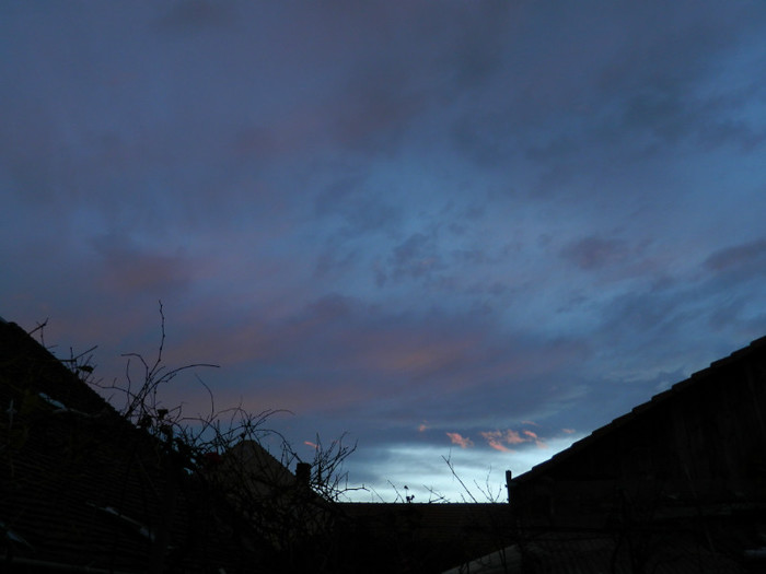 DSCN2843