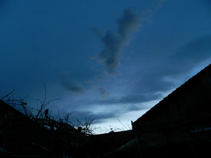 DSCN2883