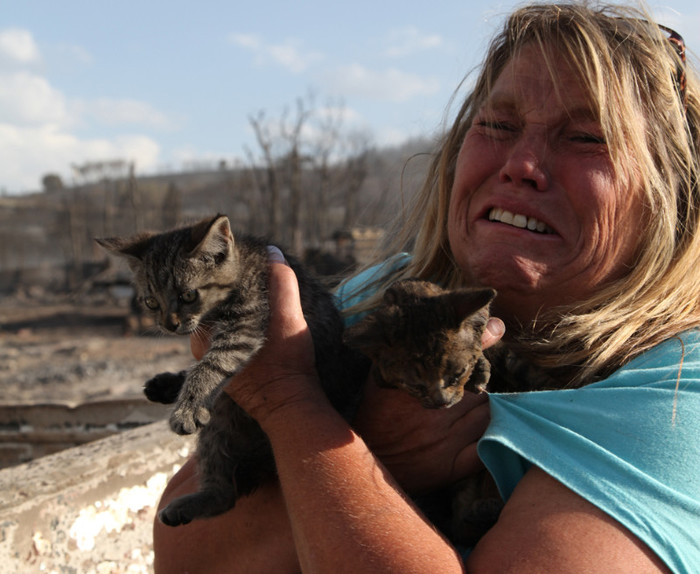 7-cele-mai-frumoase-fotografii-cu-animale-ale-anului-2012-3 - Decembrie 2012-arhiva