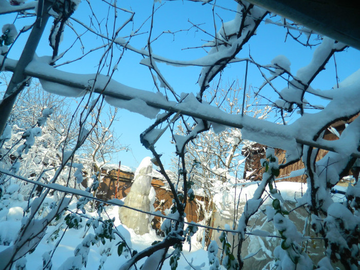 DSCN3532 - DECEMBRIE 2012