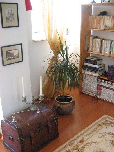 IMG_0546; ce poti face cu un cufar
