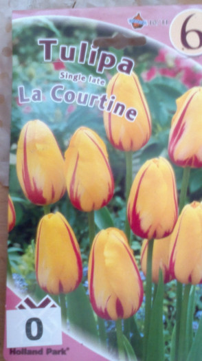 achizitii2012 toamna13