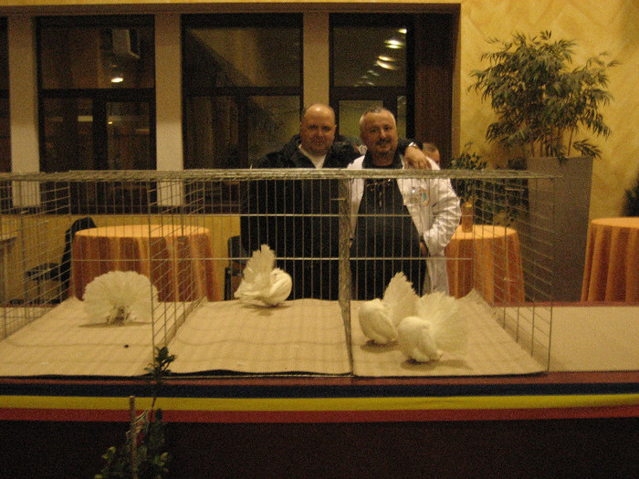 IMG_0460 - Expo Voltat Club Roman si Titlul Campion National Absolut