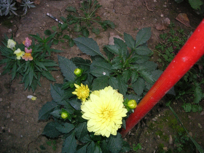 2825191620075666569nIYqCj_fs