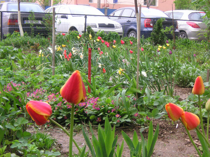 2037623550075666569rBYFpW_fs