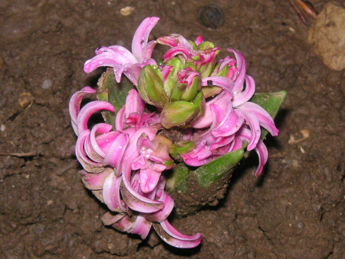 2039796450075666569KYnEeZ_fs