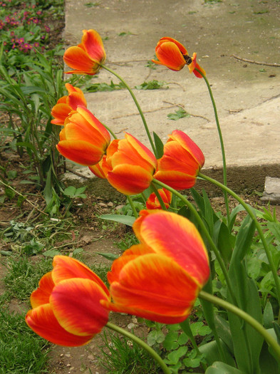 2084999290075666569oZBvcm_fs