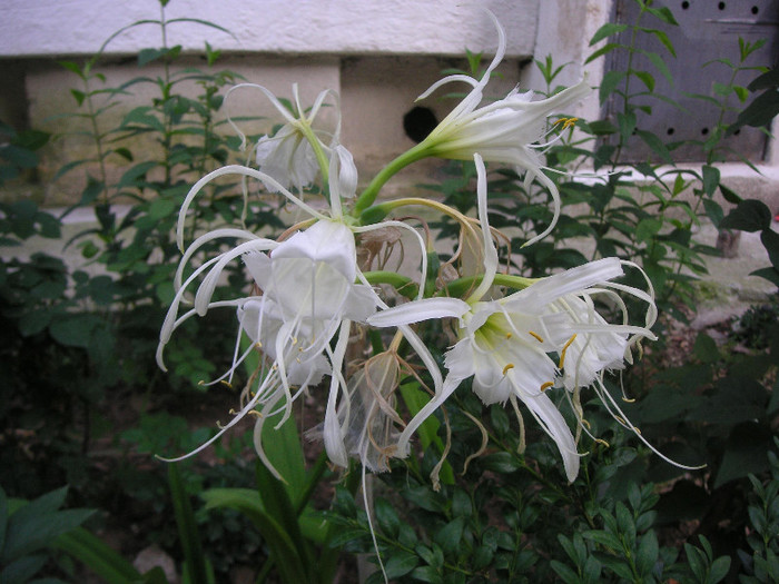 2117810690075666569kjkdCm_fs