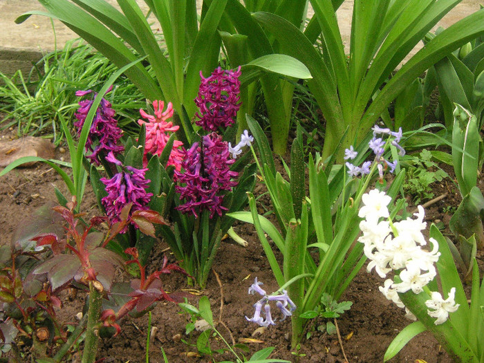 2123100680075666569JNJPTE_fs