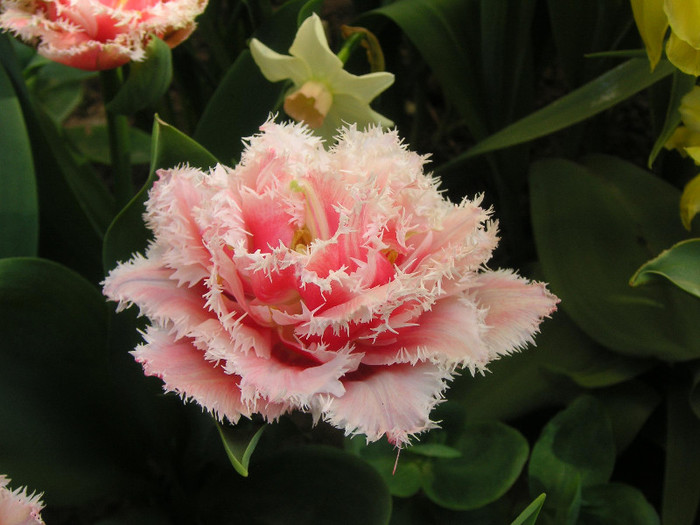 2126659770075666569ZKNWsQ_fs