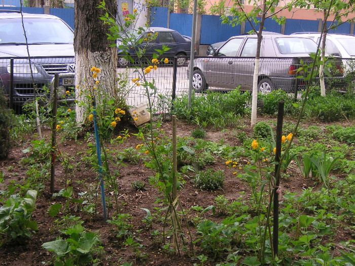 2138131540075666569LeaGld_fs