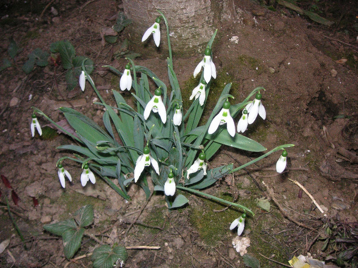 2143183950075666569xFUBXC_fs