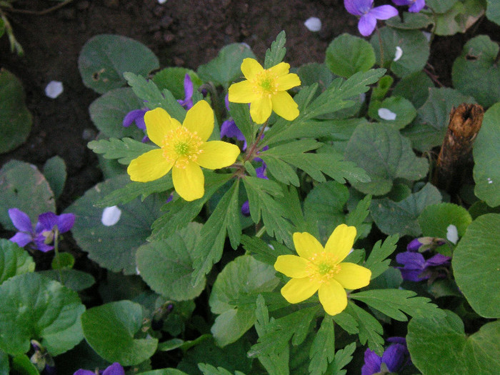 2145849610075666569SwJLKt_fs