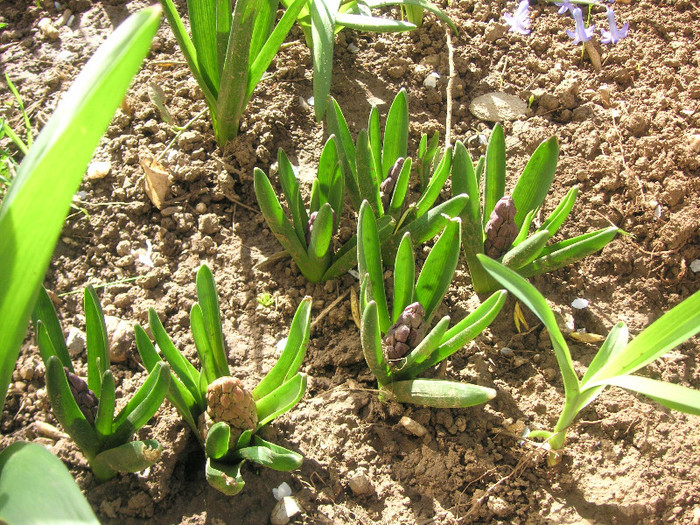 2174770330075666569OYpeQf_fs